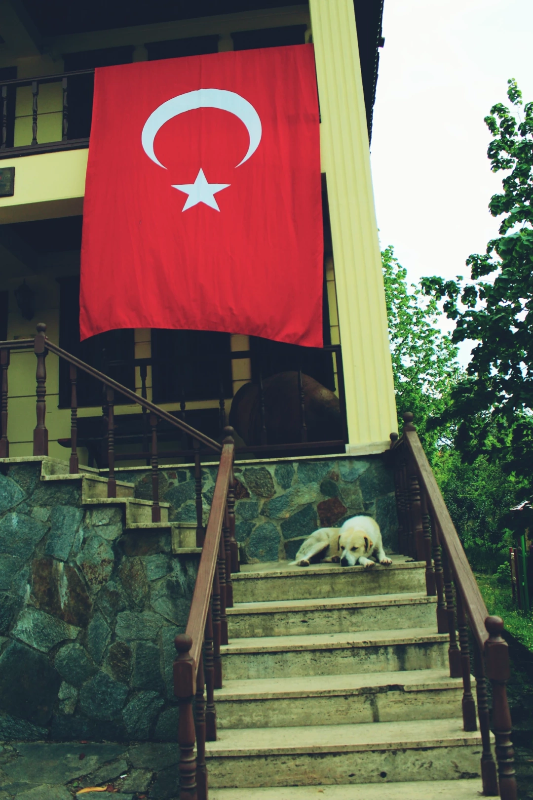 kocaeli-basiskele-servetiye-koyu / 10717