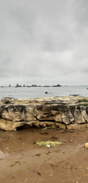 kerpe / 12443
