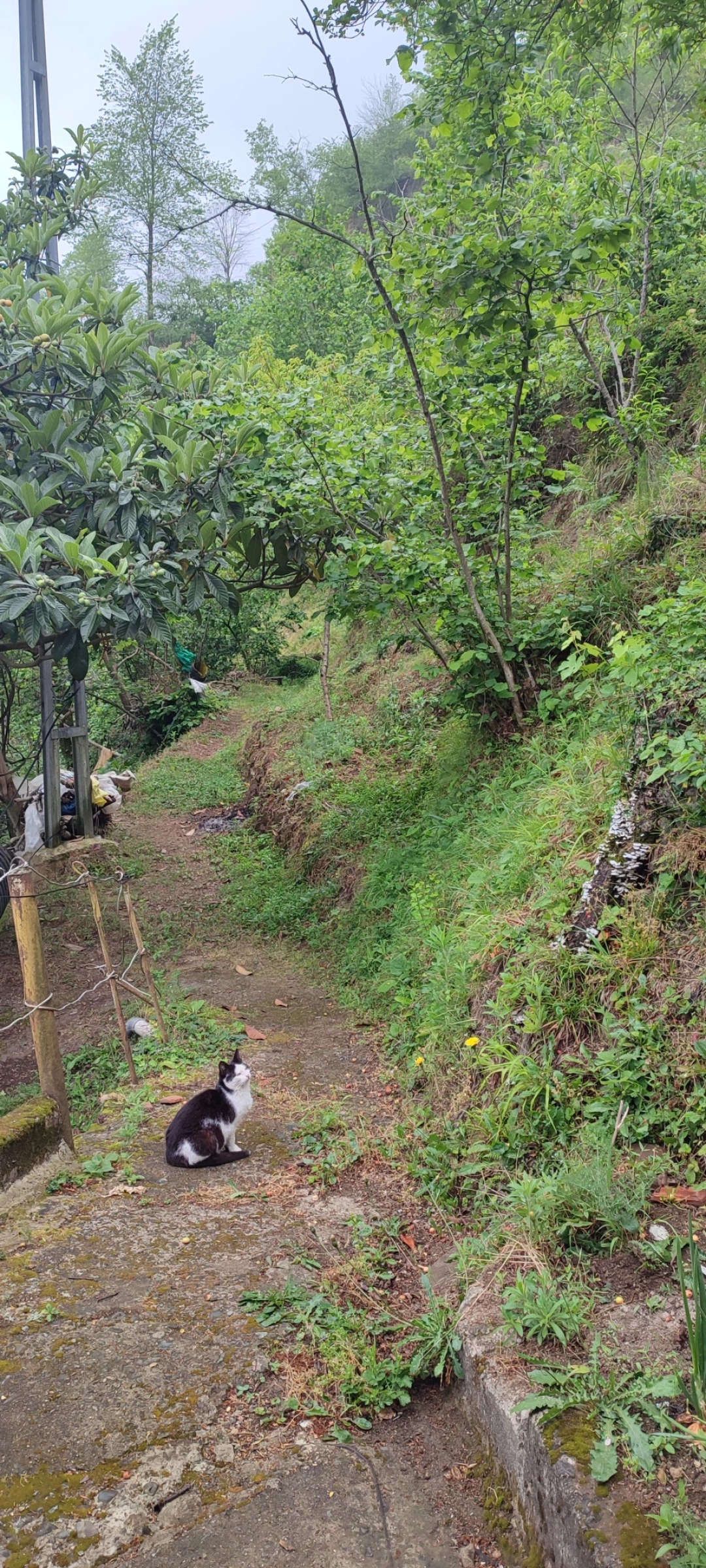 kim-var-orada / 15622