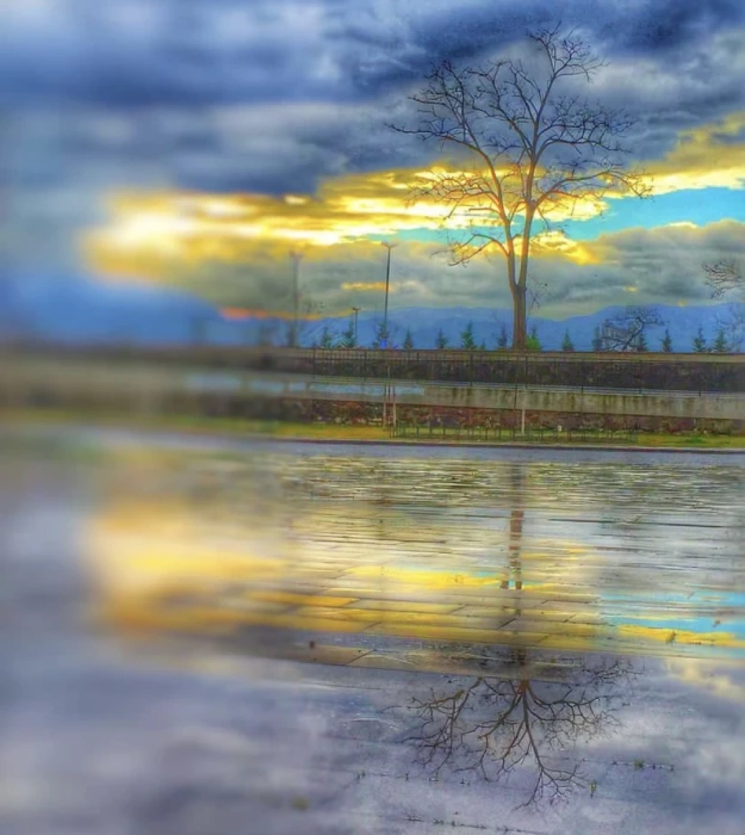 sekapark-yansimalar3 / 966