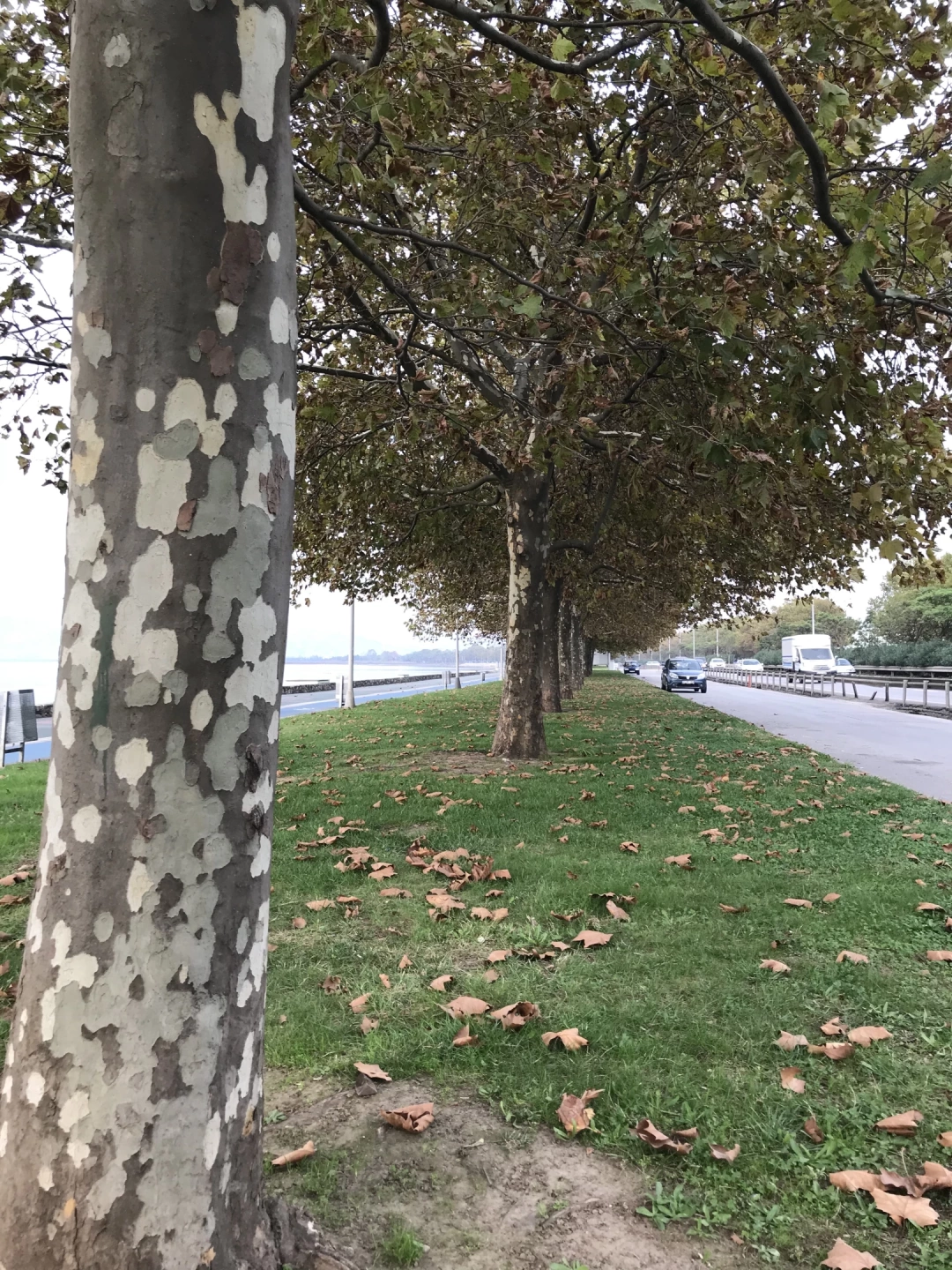 kocaeli-izmit-orduevi-halkevi-izmitcarsi-sahil-deniz-heykel-basiskele-yuvacik-sekapark-kolordu-sekakamp-akmese / 4866