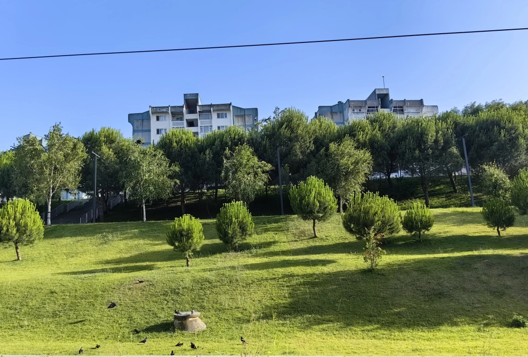 sekerpinar-toki / 15422