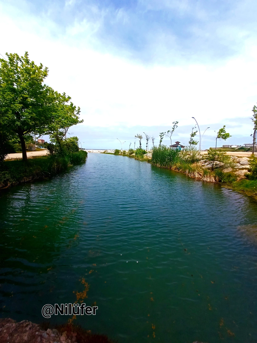 kandira-bagirganli / 15322