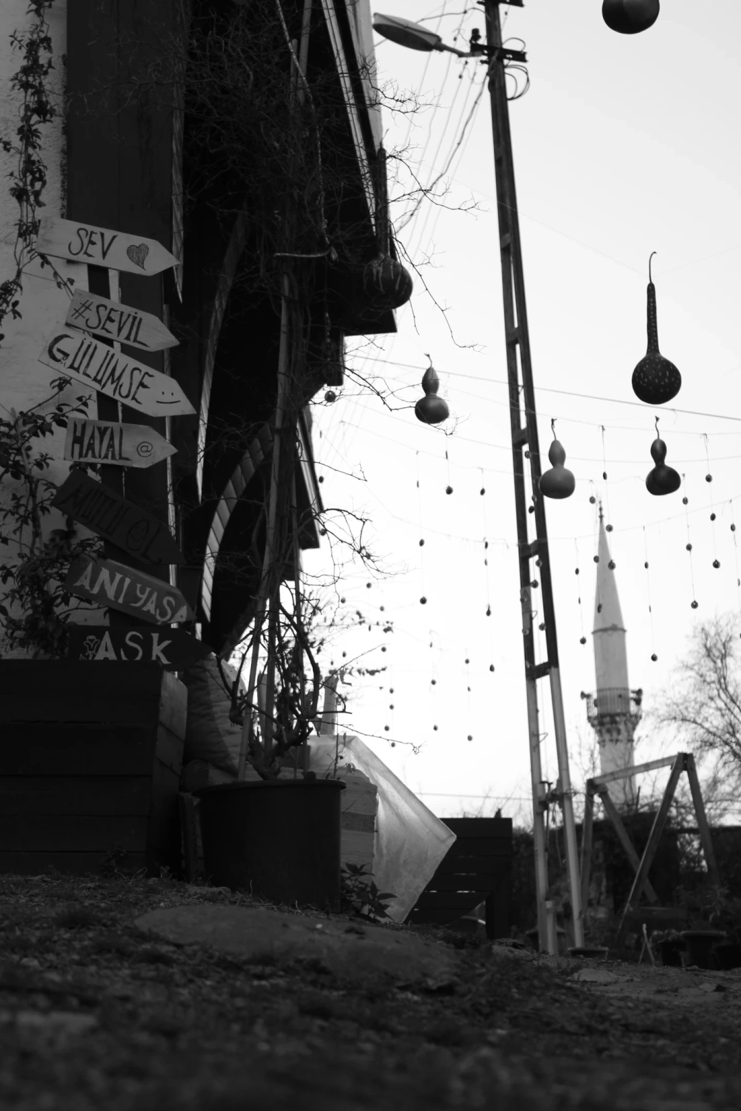 sarayli-sev-sevil-gulumse-hayal-et-mutlu-ol-ani-yasa-ask-sarayli-sev-sevil-gulumse-hayalet-mutluol-aniyasa-ask-sevdamizkocaeli / 3566