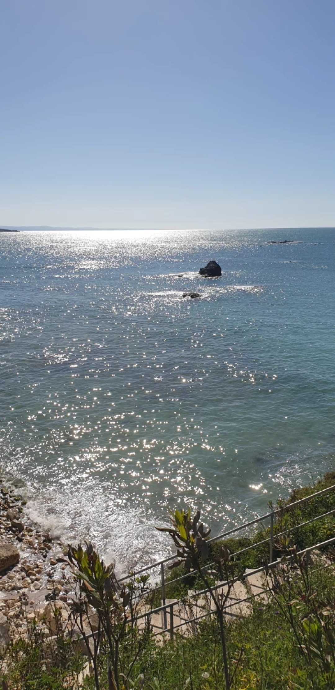 kandiracebeci / 12222