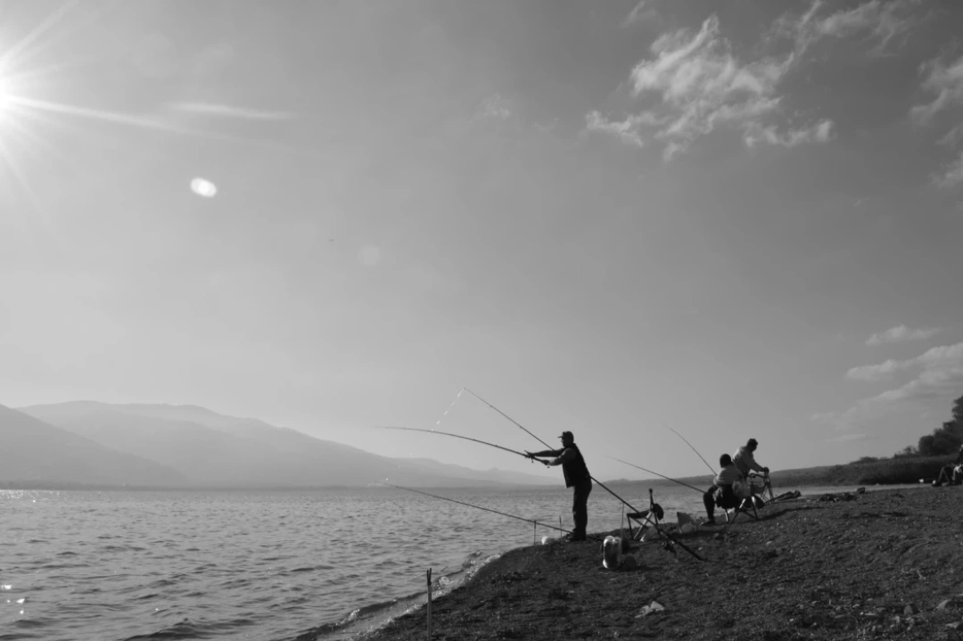 sapanca-balikci / 8866
