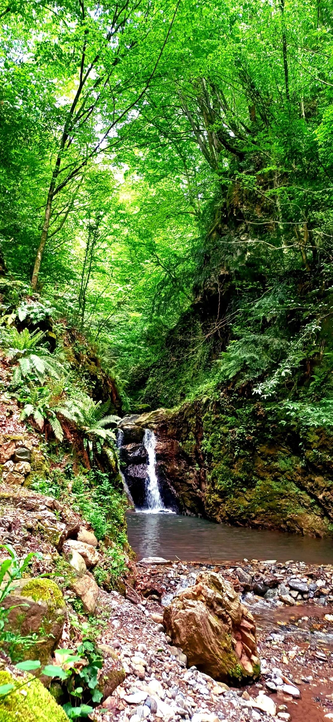 servetiye-koyu-selale-kocaeli / 10716