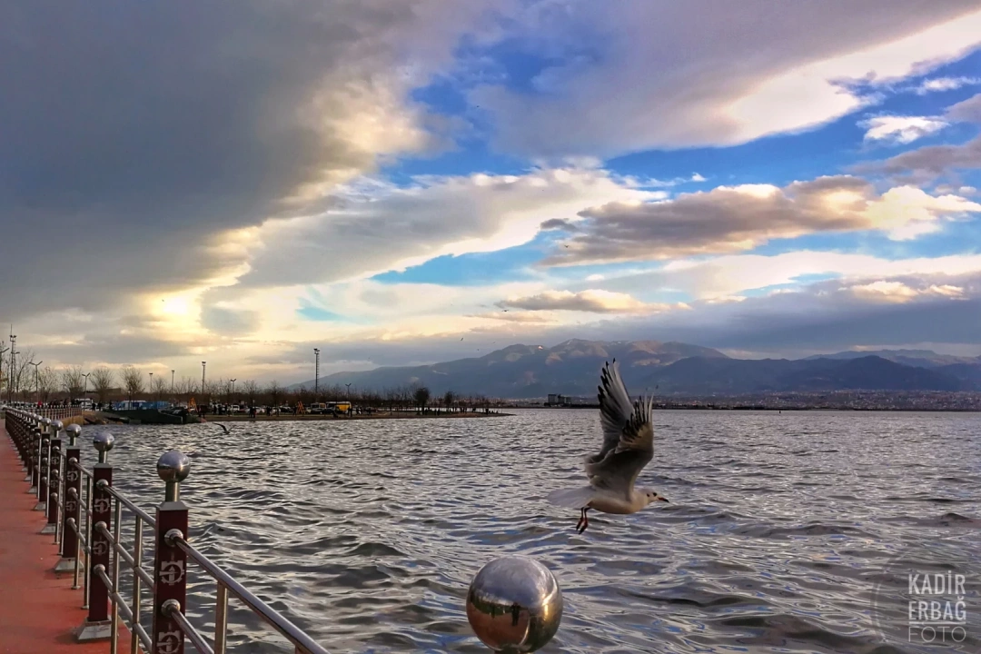 ozgur-kanatlar-sahil-izmit / 11360