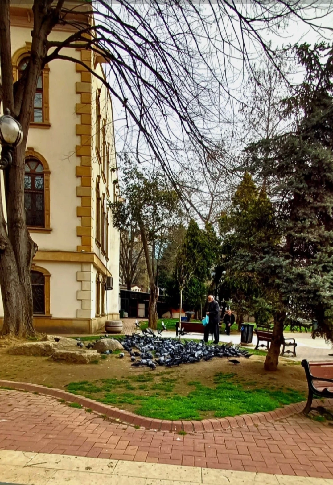 fevziye-camii-izmit-kocaeli / 10260