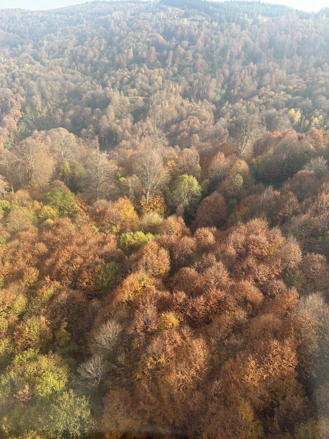 teleferik-kartepe-sonbahar-sevdamizkocaeli / 16216