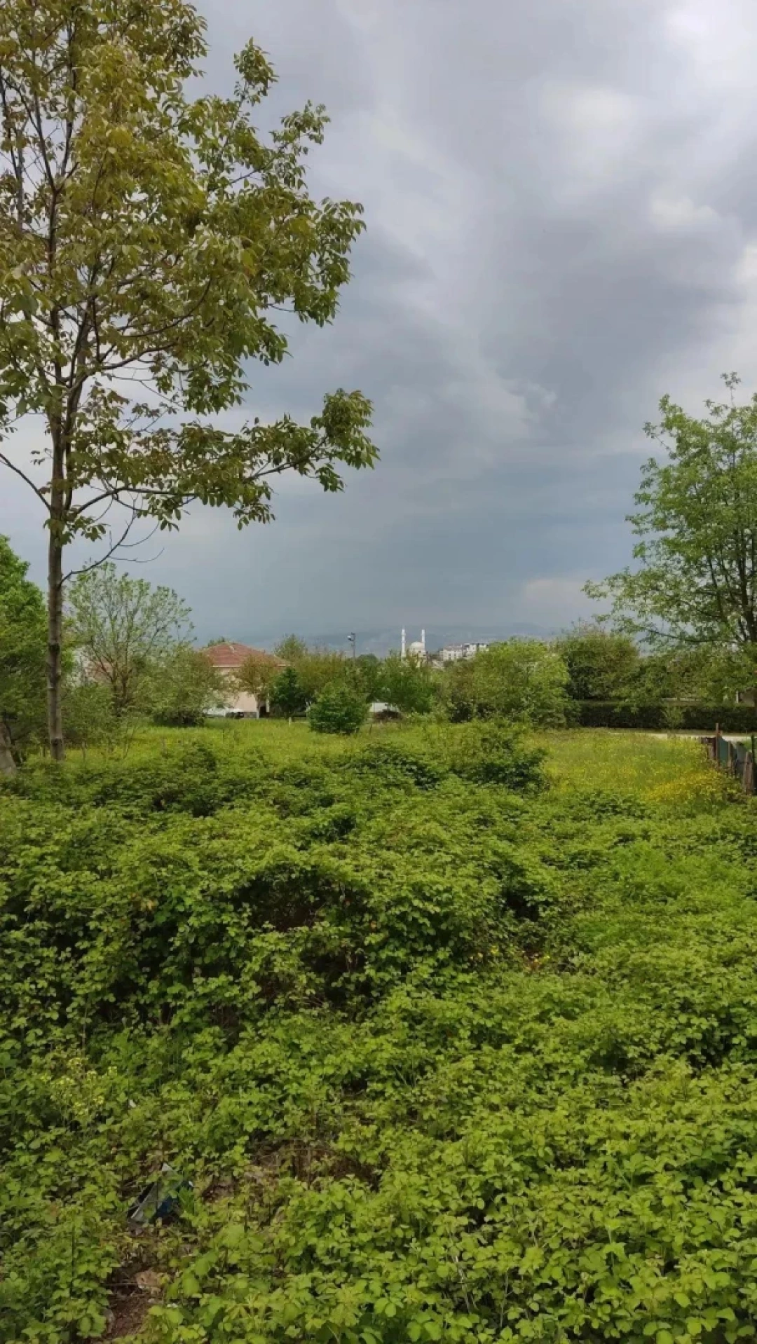 dongel-basiskele / 13960