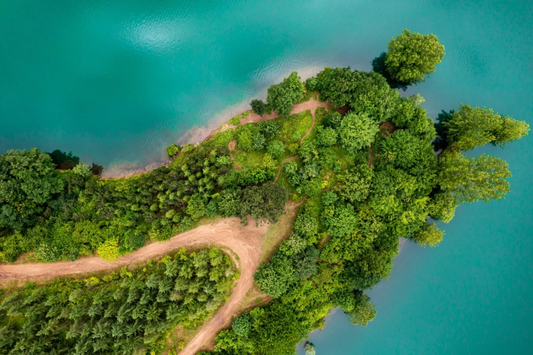 yuvacikbaraji / 1177