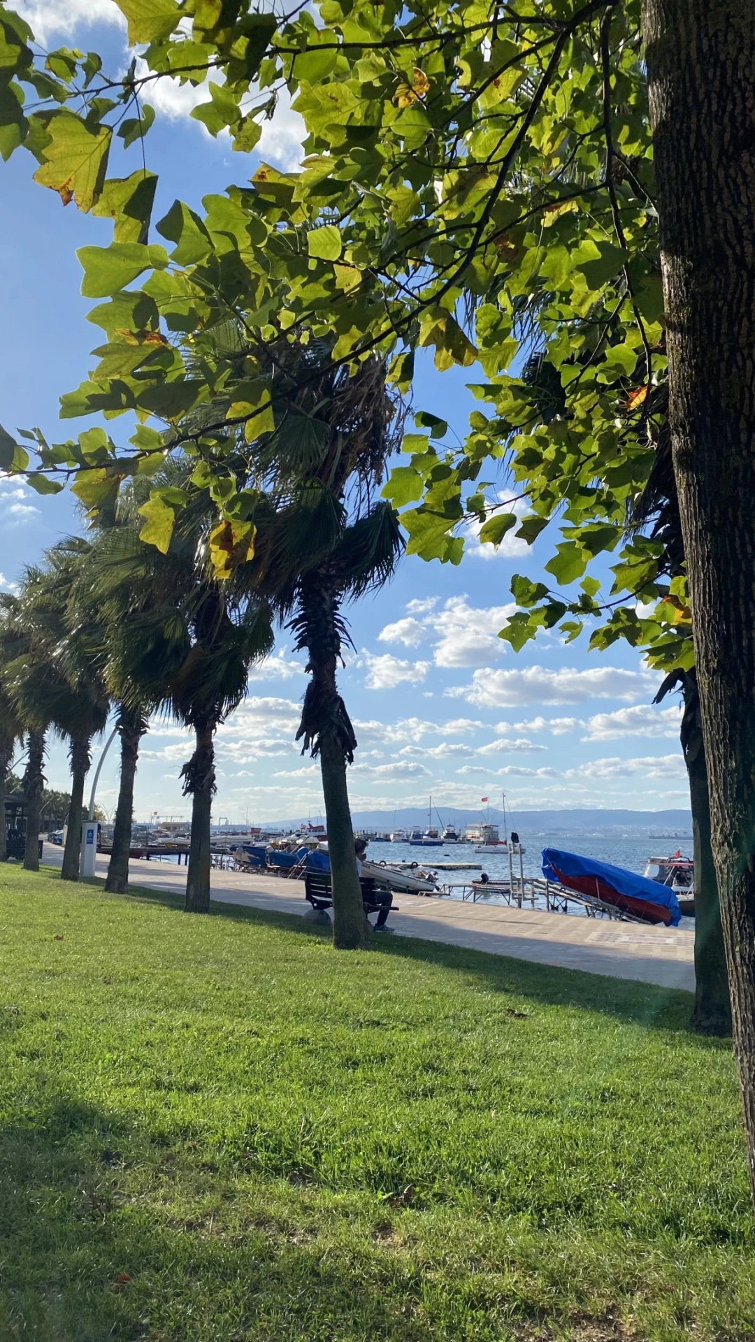 at-sahil-at-doga-at-manzara-at-basiskelesahil / 5633