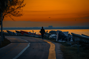 izmit-plaj-yolu-gunun-ilk-isiklari / 2215