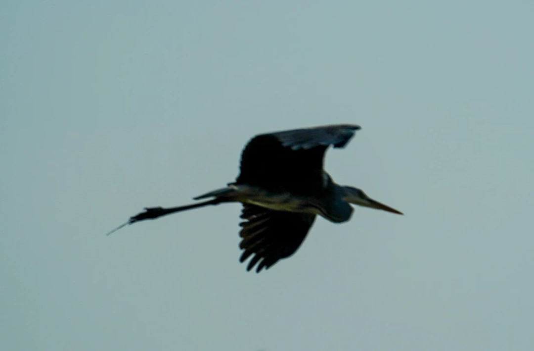 izmit-kocaeli-sahil-deniz-orduevi-izmitcarsi-kolordu-sekapark-heykel / 2933