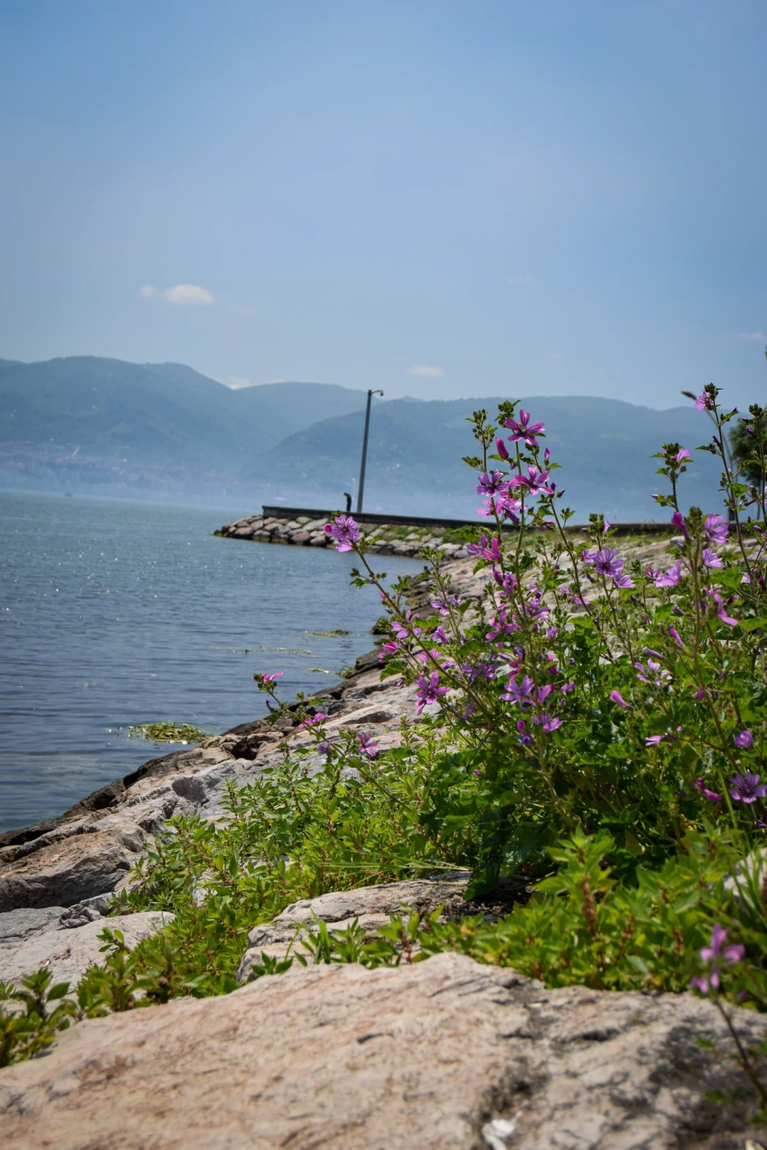 tutunciftlik-sahil-deniz / 1533