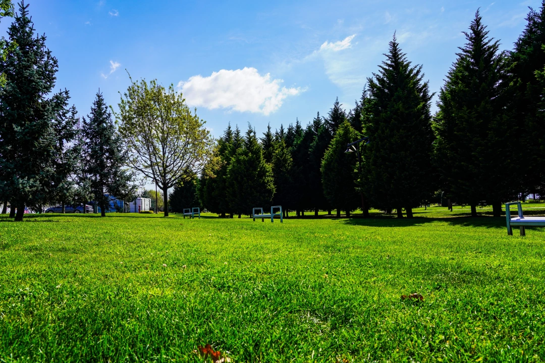 kocaeli-izmit-carsi-gar-tren-tranway-heykel-kolordu-orduevi-sekapark-marina-sahil-deniz-turkey-travel-photos-voyage-trip-turkey-seningozunden-aniyakala-benimvizorum / 10133