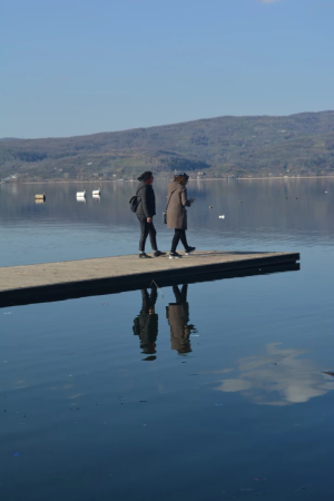 sapanca / 8815