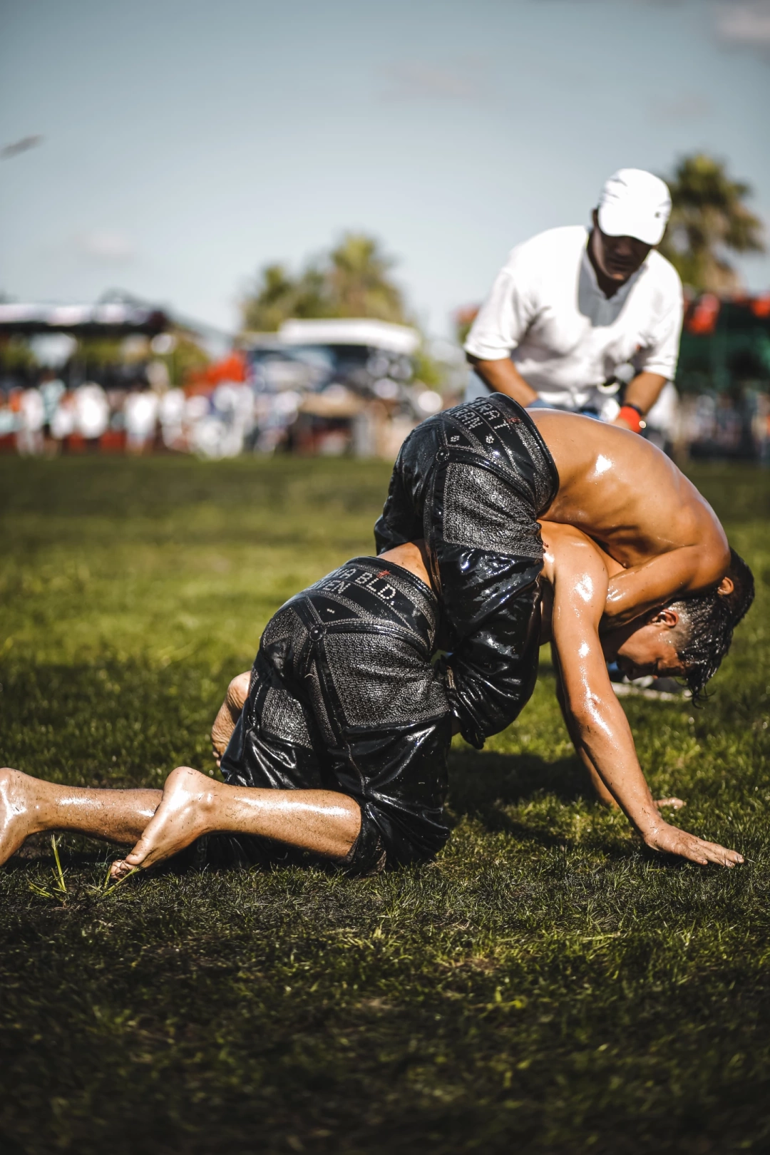 seka-yagli-gures / 8477