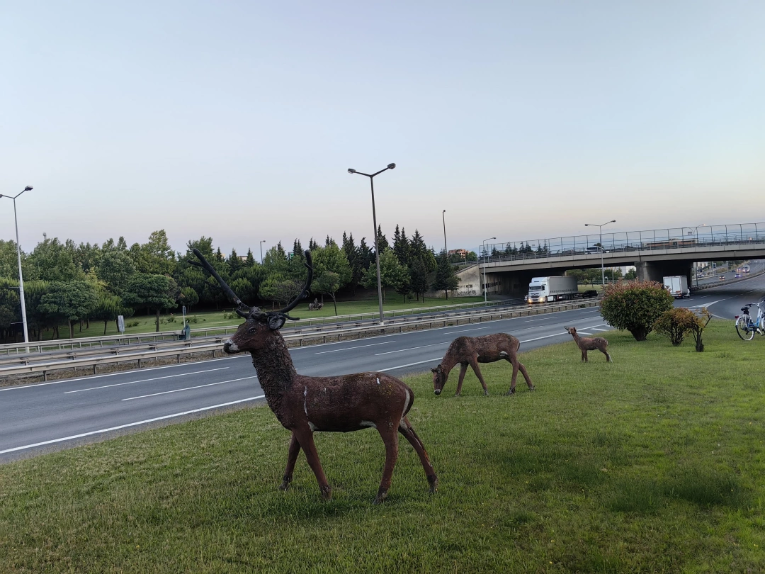 kocaeli-yol-kenari / 15377