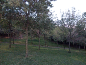 gebze / 14359