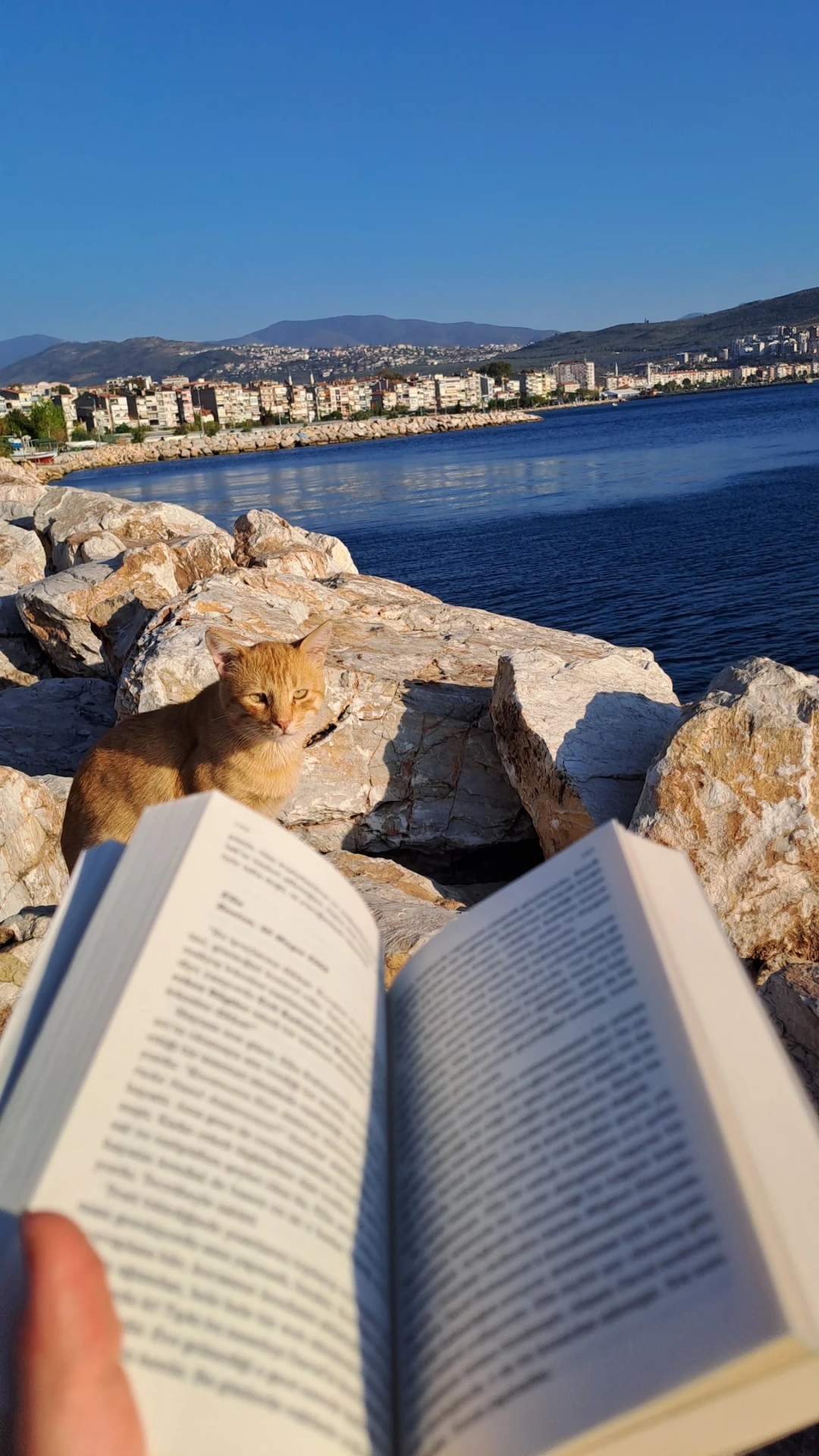 kitap-sahil-fotograf-sevdamizkocaeli / 6077