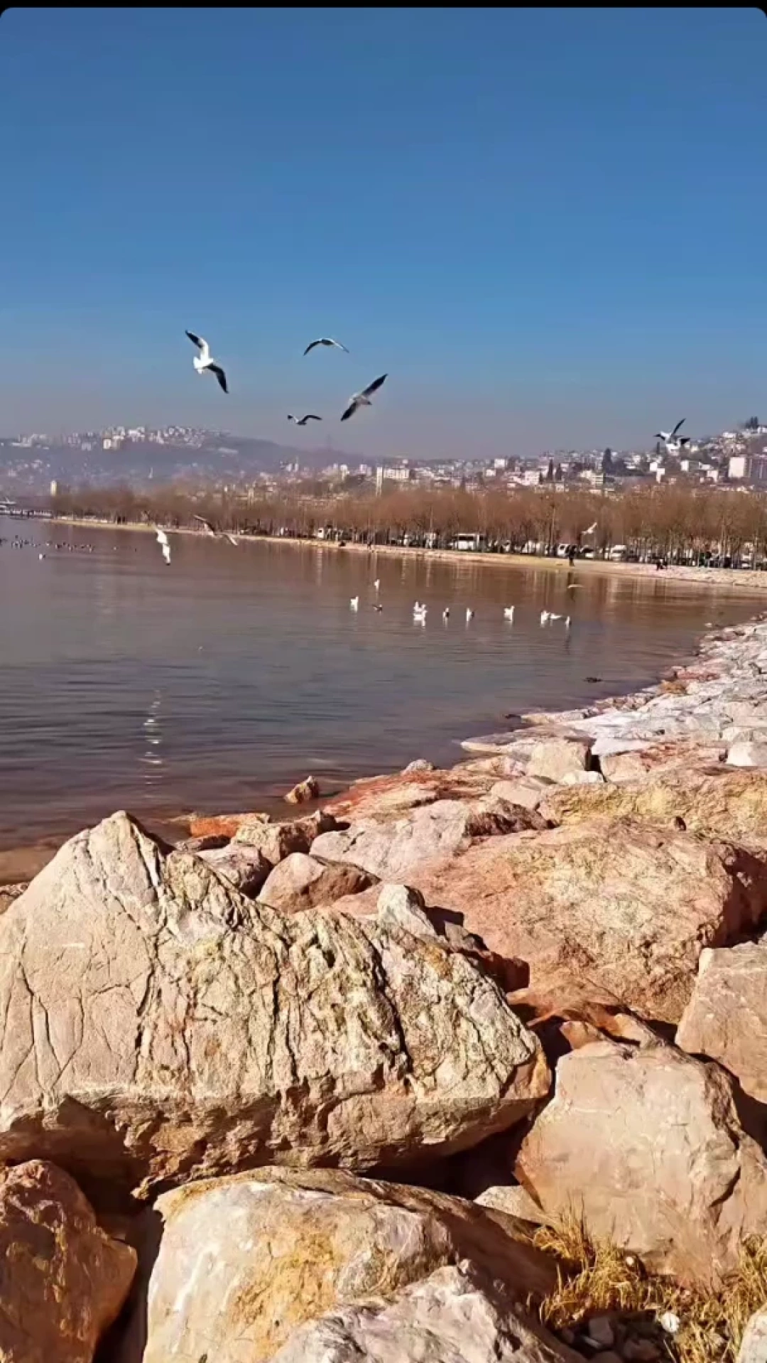 sahil-kocaeli-izmit-doga-yuruyus-martilar / 8468