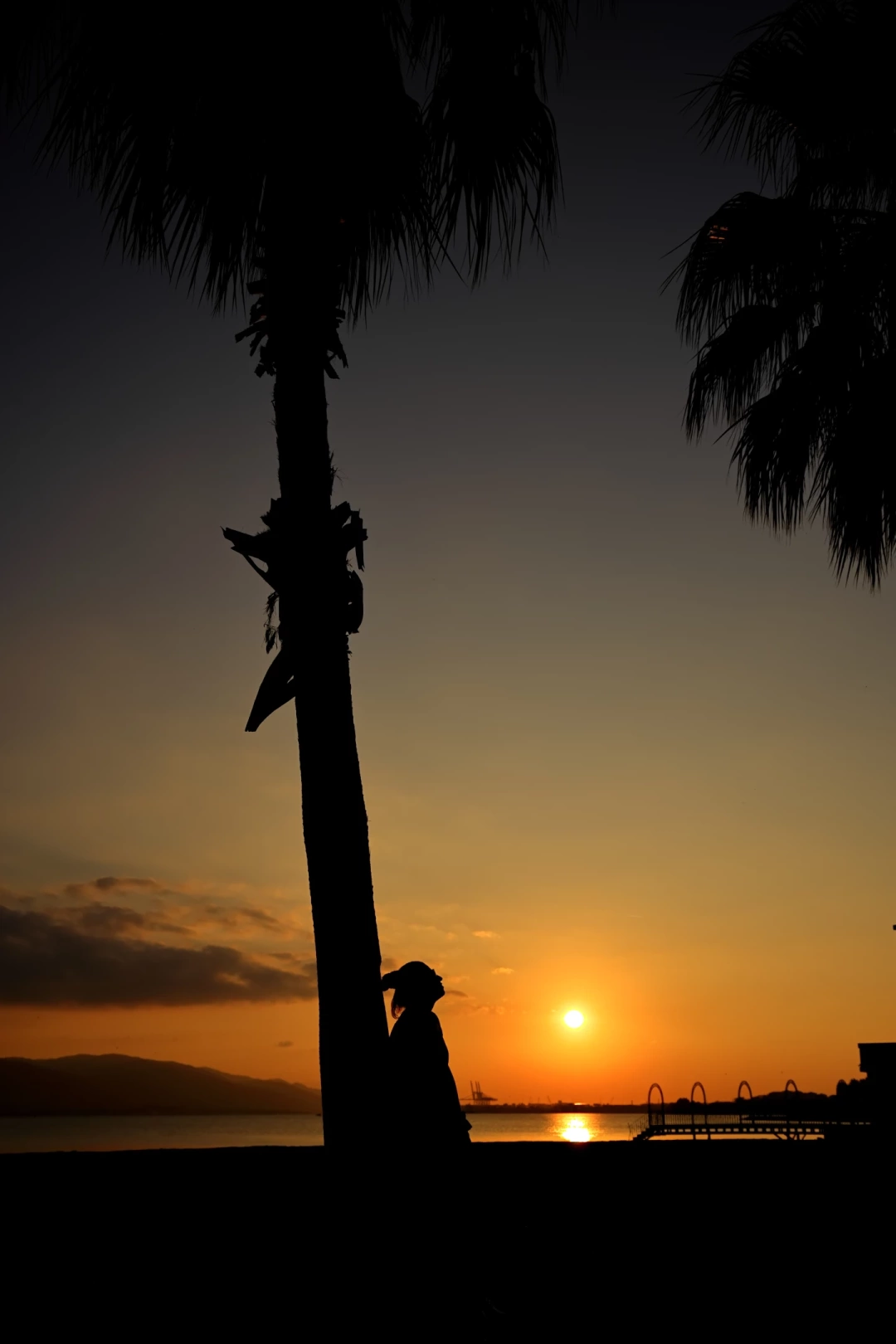 sekapark-gunbatimi / 9268