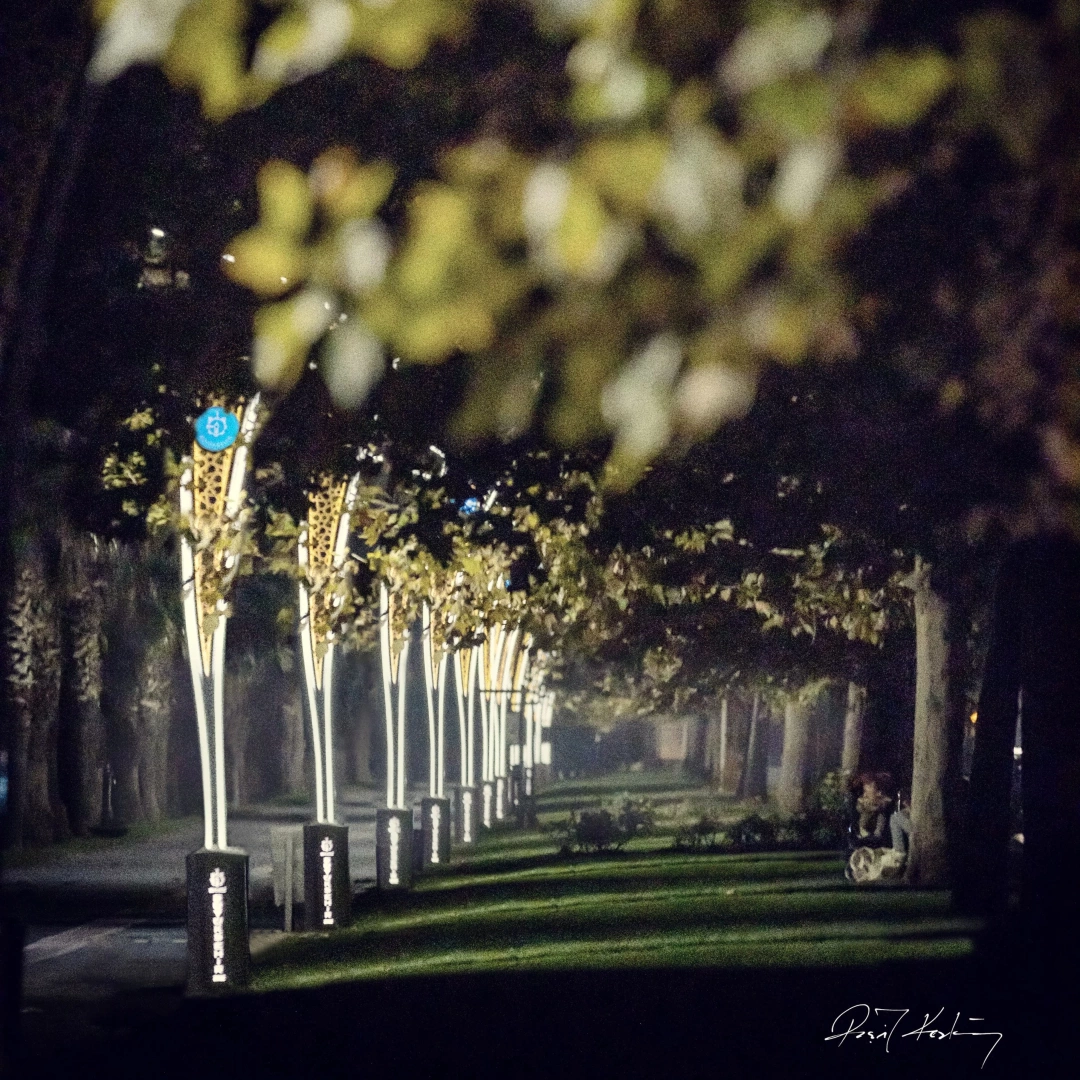 mutlusehirkocaeli / 1124