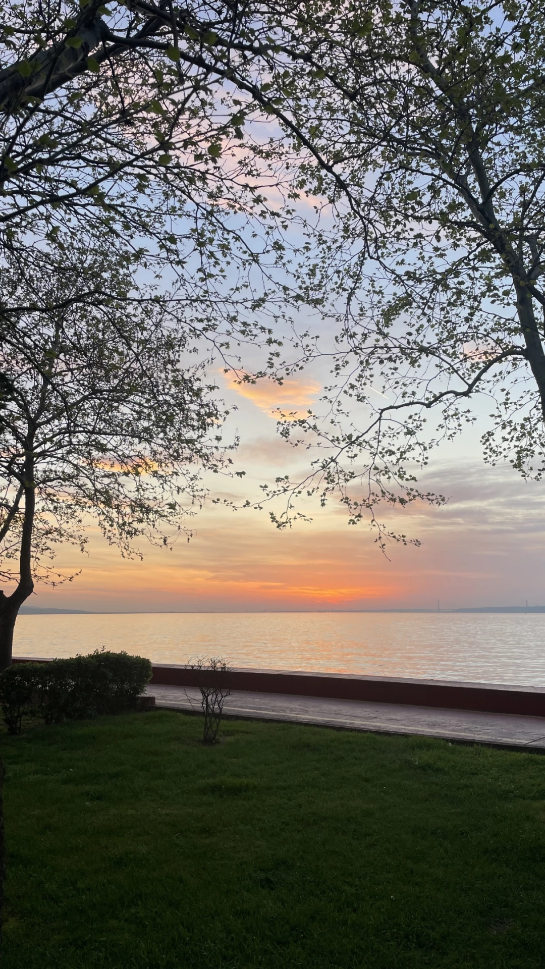 karamursel-karamurselsahil / 7568