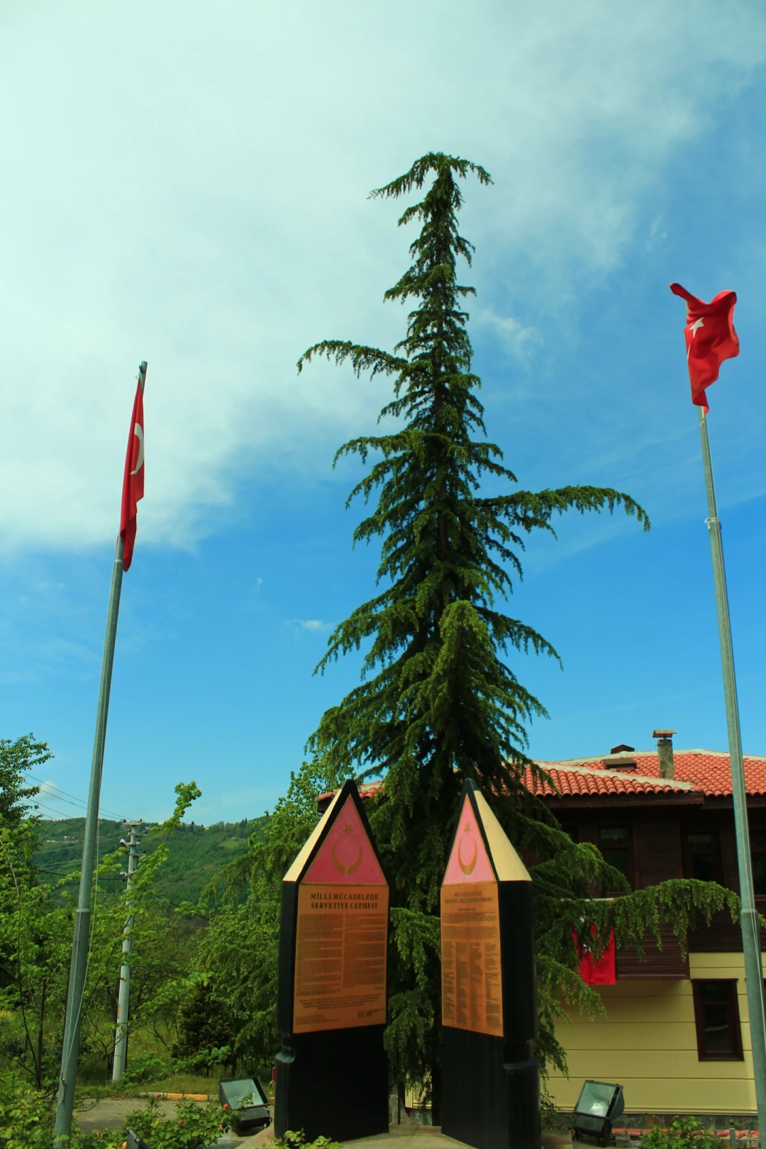 kocaeli-basiskele-servetiye-koyu-tek-kursun-aniti / 11624