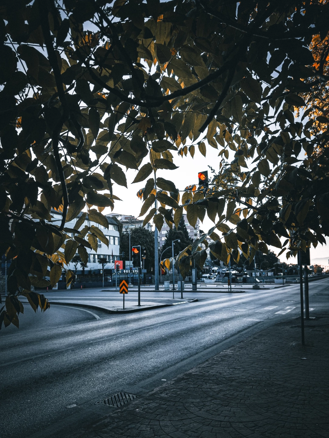 izmit-orduevi-seka-sekapark-kocaeli / 13124