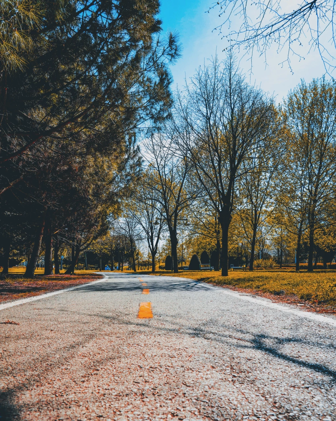 kocaeli-izmit-carsi-gar-tren-tranway-heykel-kolordu-orduevi-sekapark-marina-sahil-deniz-turkey-travel-photos-voyage-trip-turkey-seningozunden-aniyakala-benimvizorum / 10124