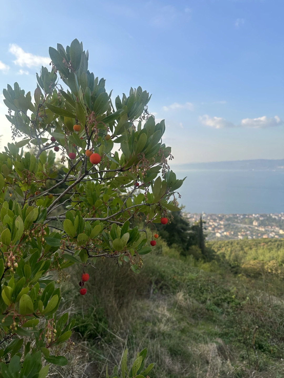 dagcilegi-eregli-karamursel-sonbahar / 16224