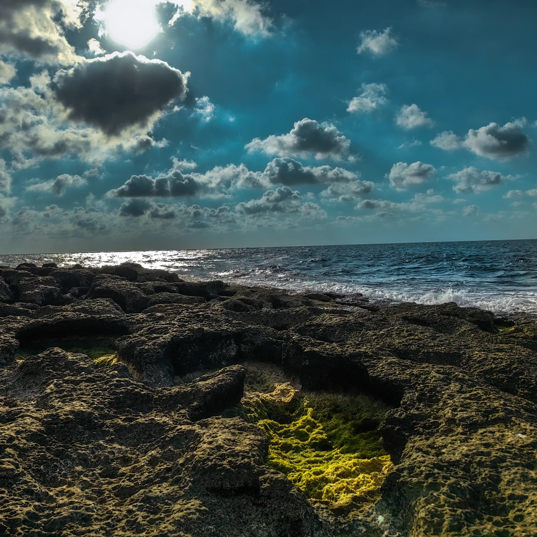 mavinin-40-tonu-pembekayalara / 4768