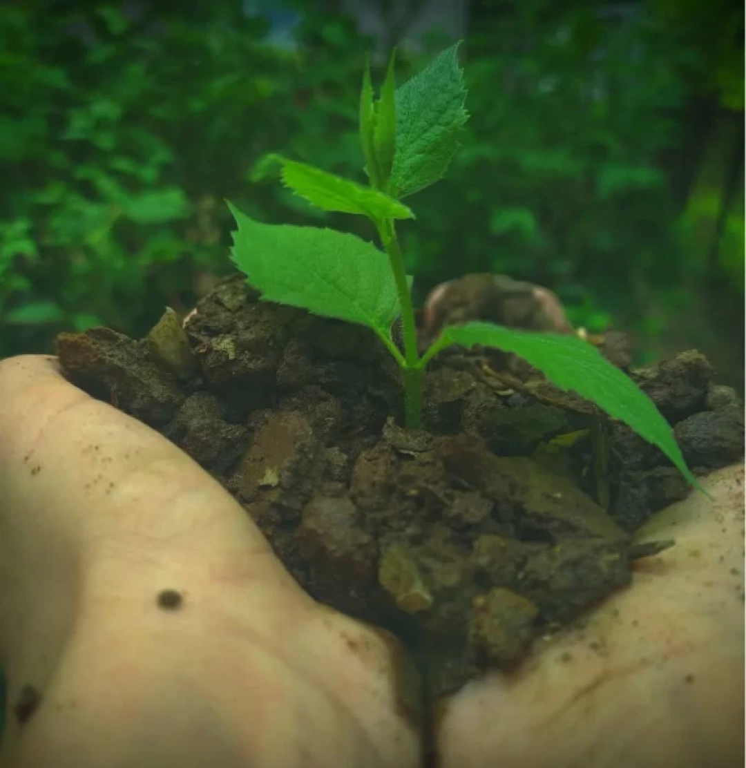 kocaeli-izmit / 16357