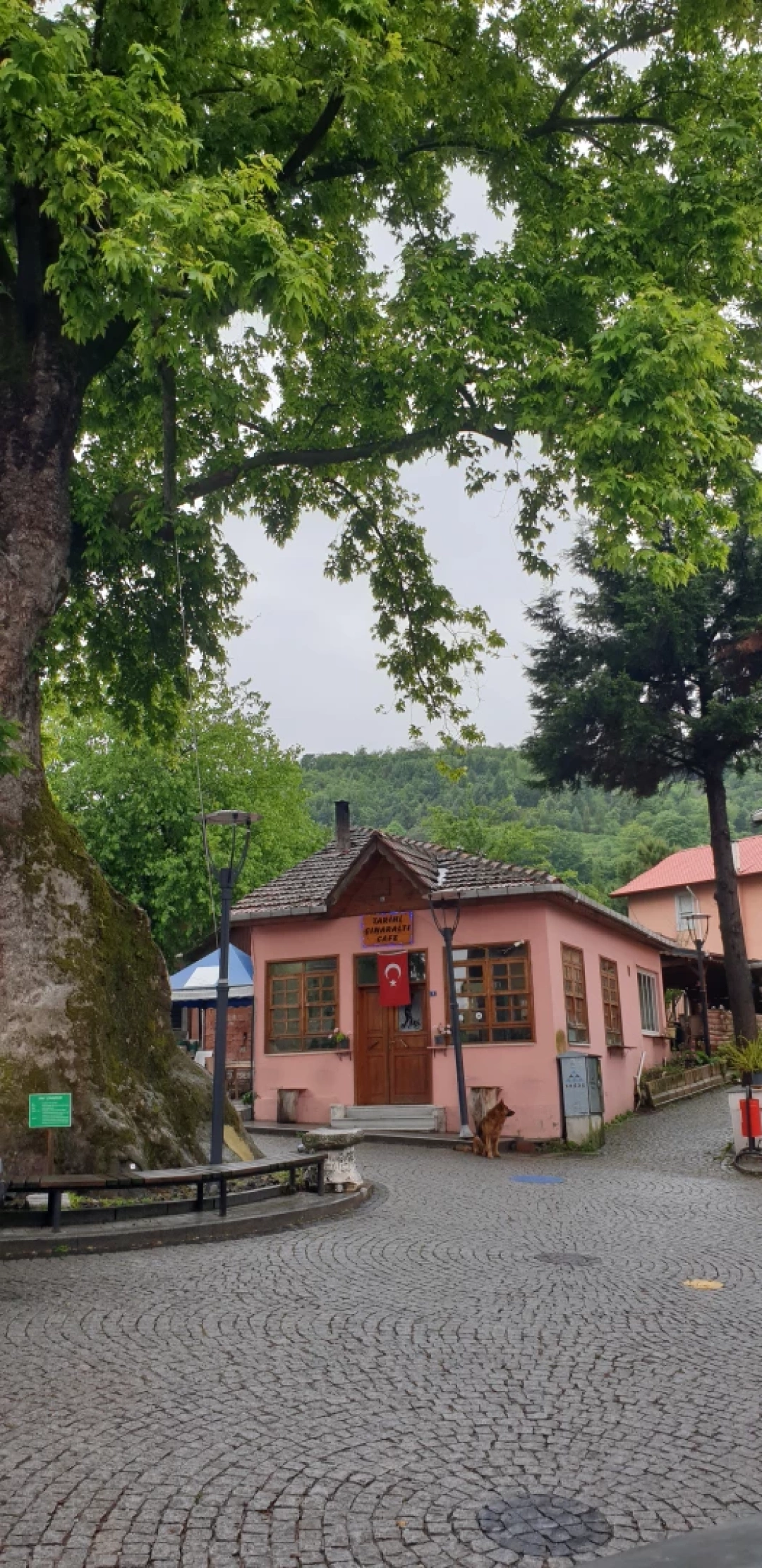 sarayli-koyu / 13057