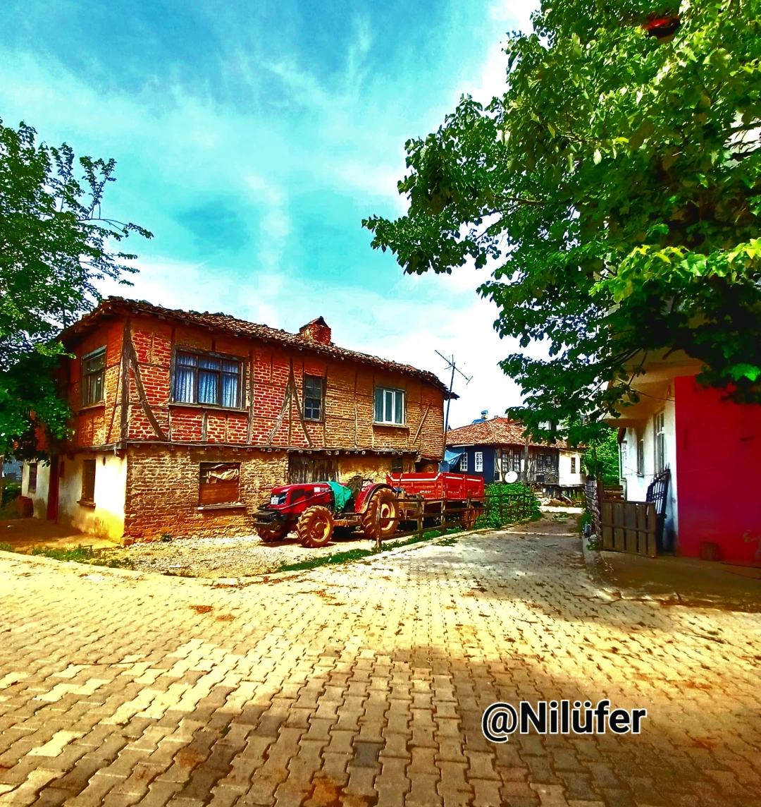 kandira-bagirganli-koyu / 15257