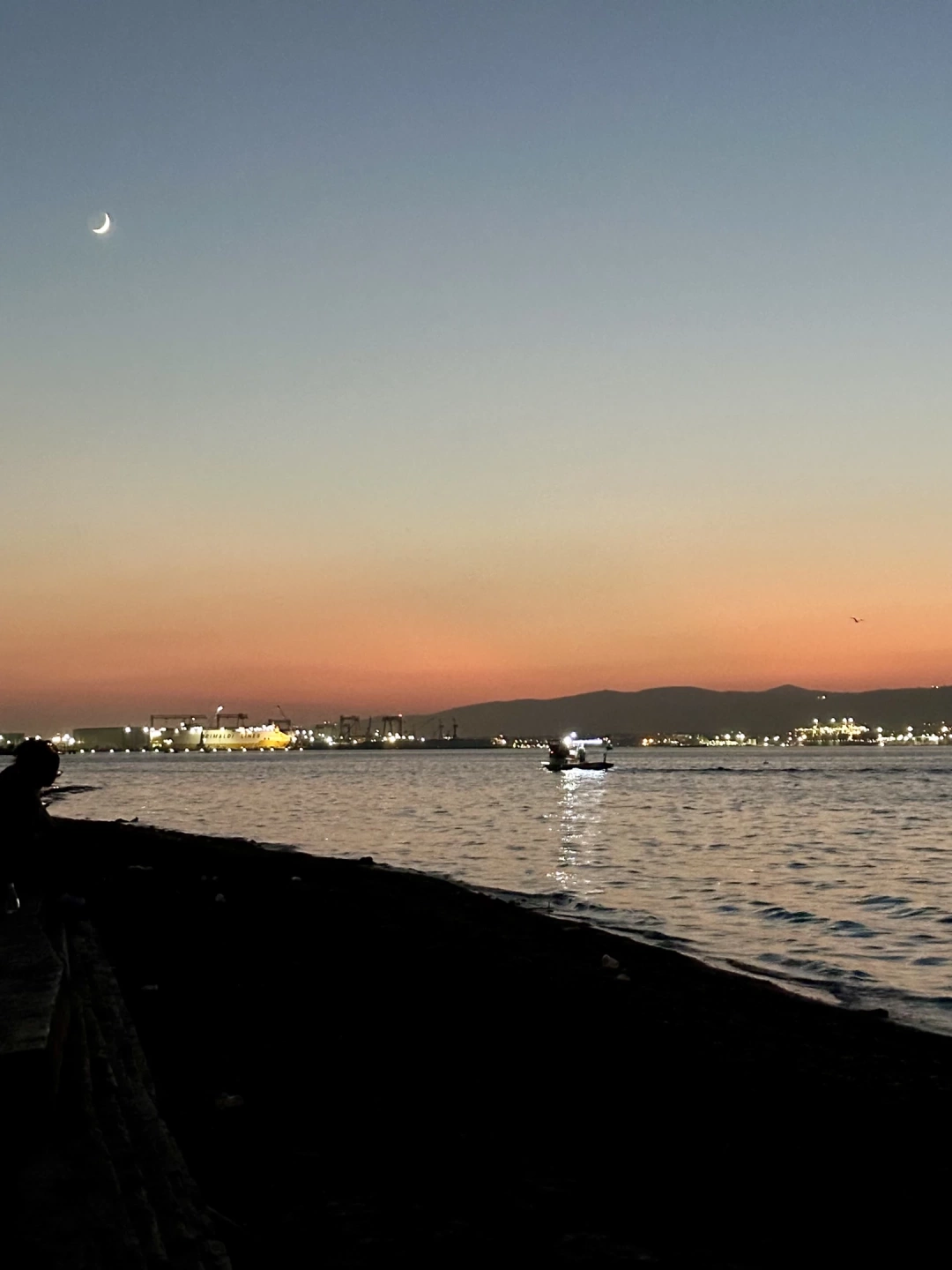 basiskele-sahil / 15579