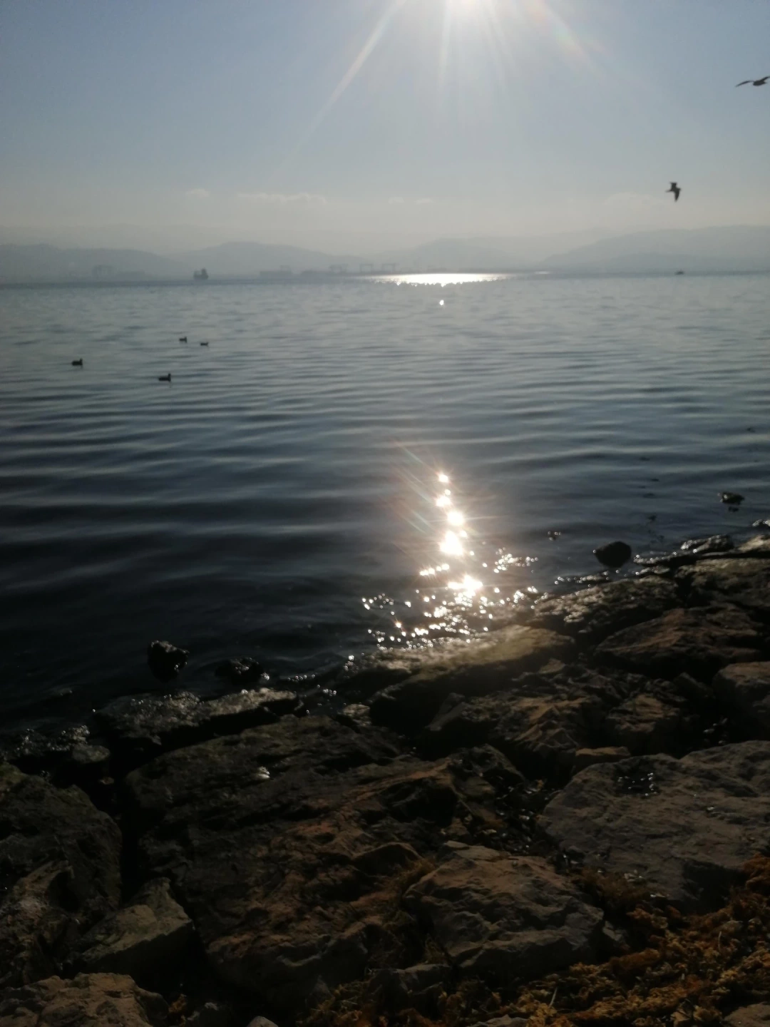 askinsehri / 16079