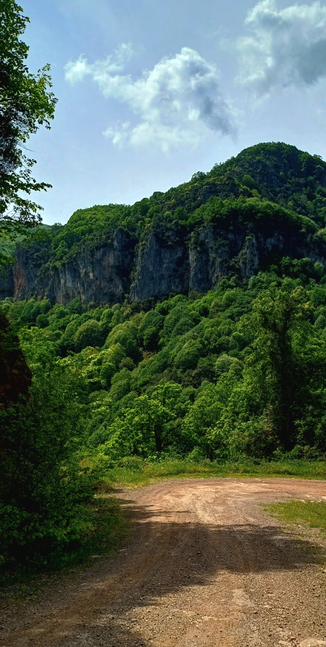 servetiye-koyu-kocaeli / 10835
