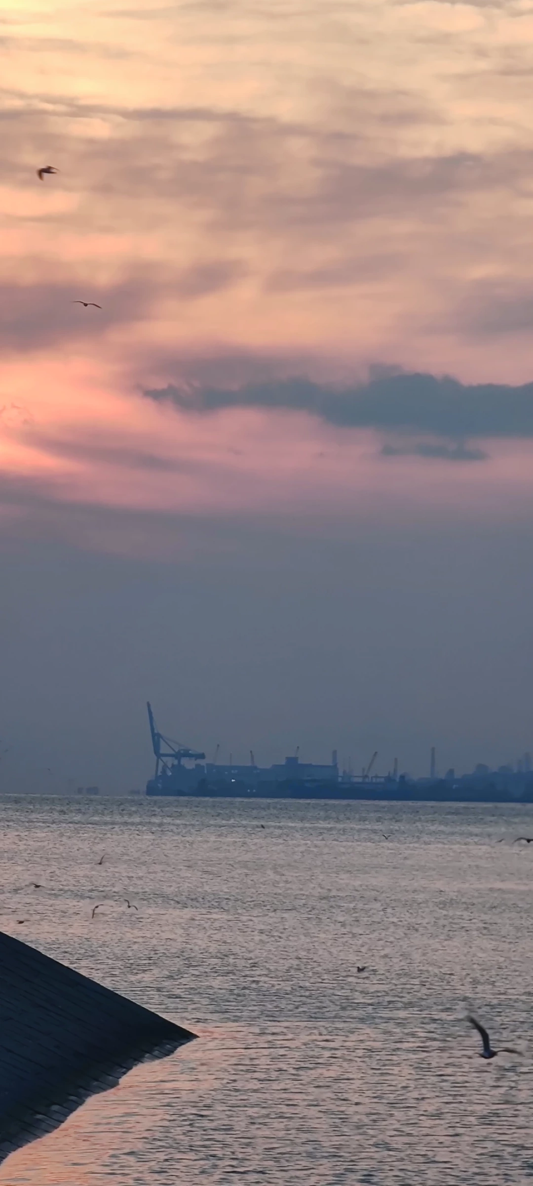 izmit-kocaeli-sevdamizkocaeli-fotograf / 15079