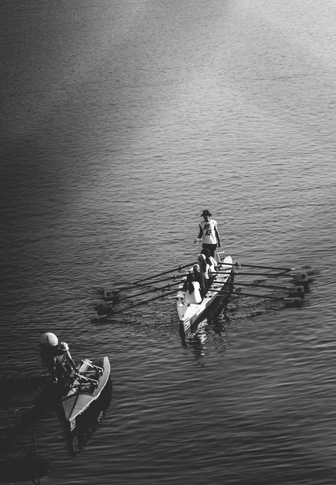 yelken-kulubu / 2479