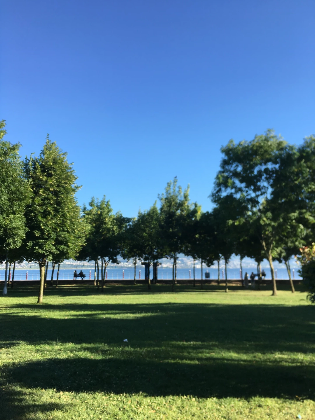 marina-izmit / 7435