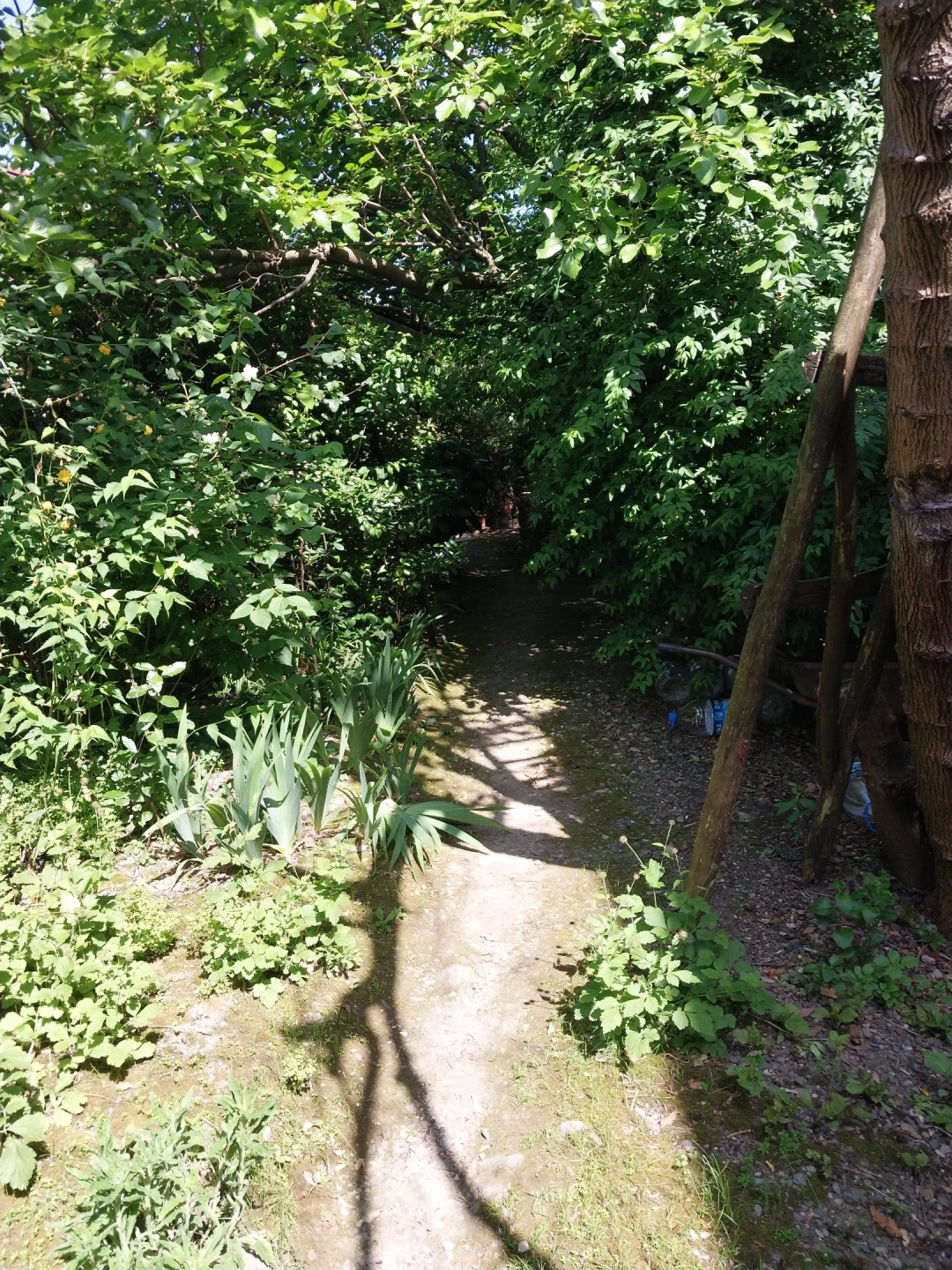 karamursel-eregli / 13235