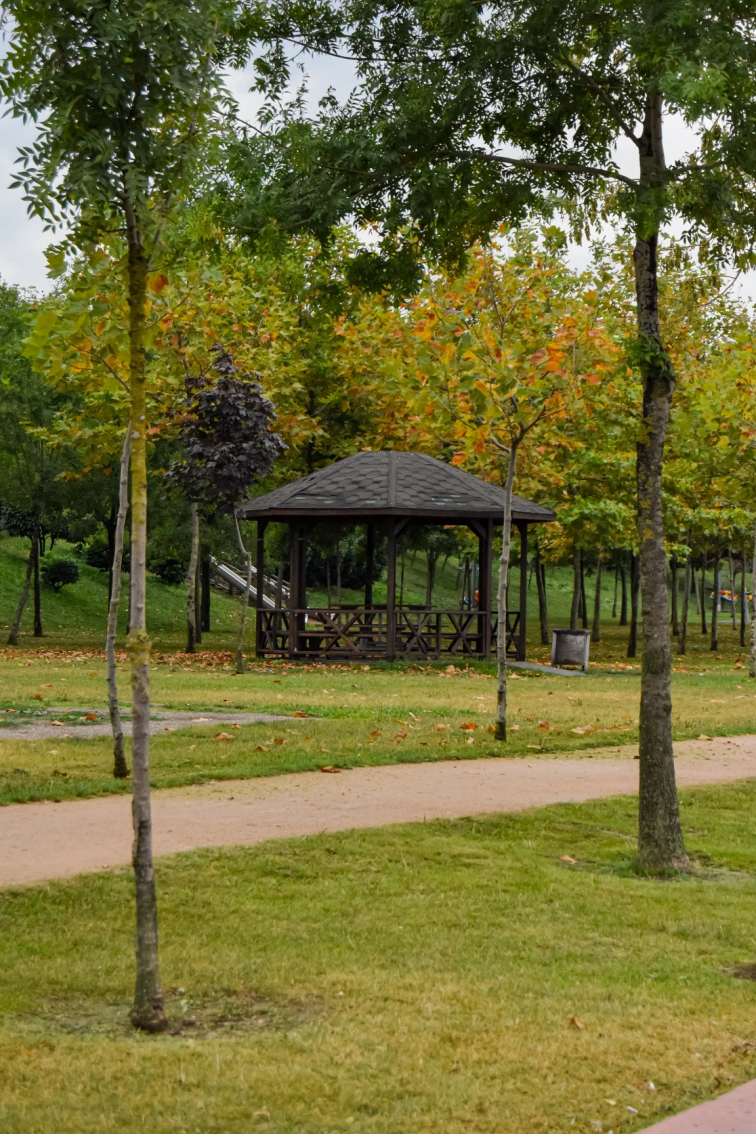 harikalar-sahili / 4079