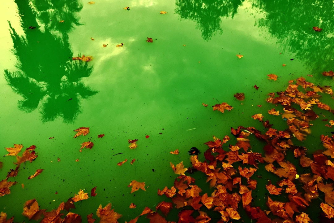 dogukisla-havuz-yansima / 9279