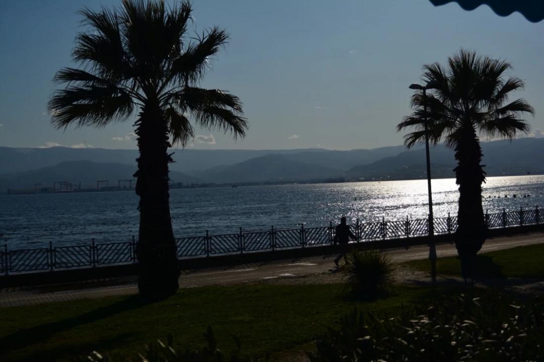 plaj-yolu / 8879