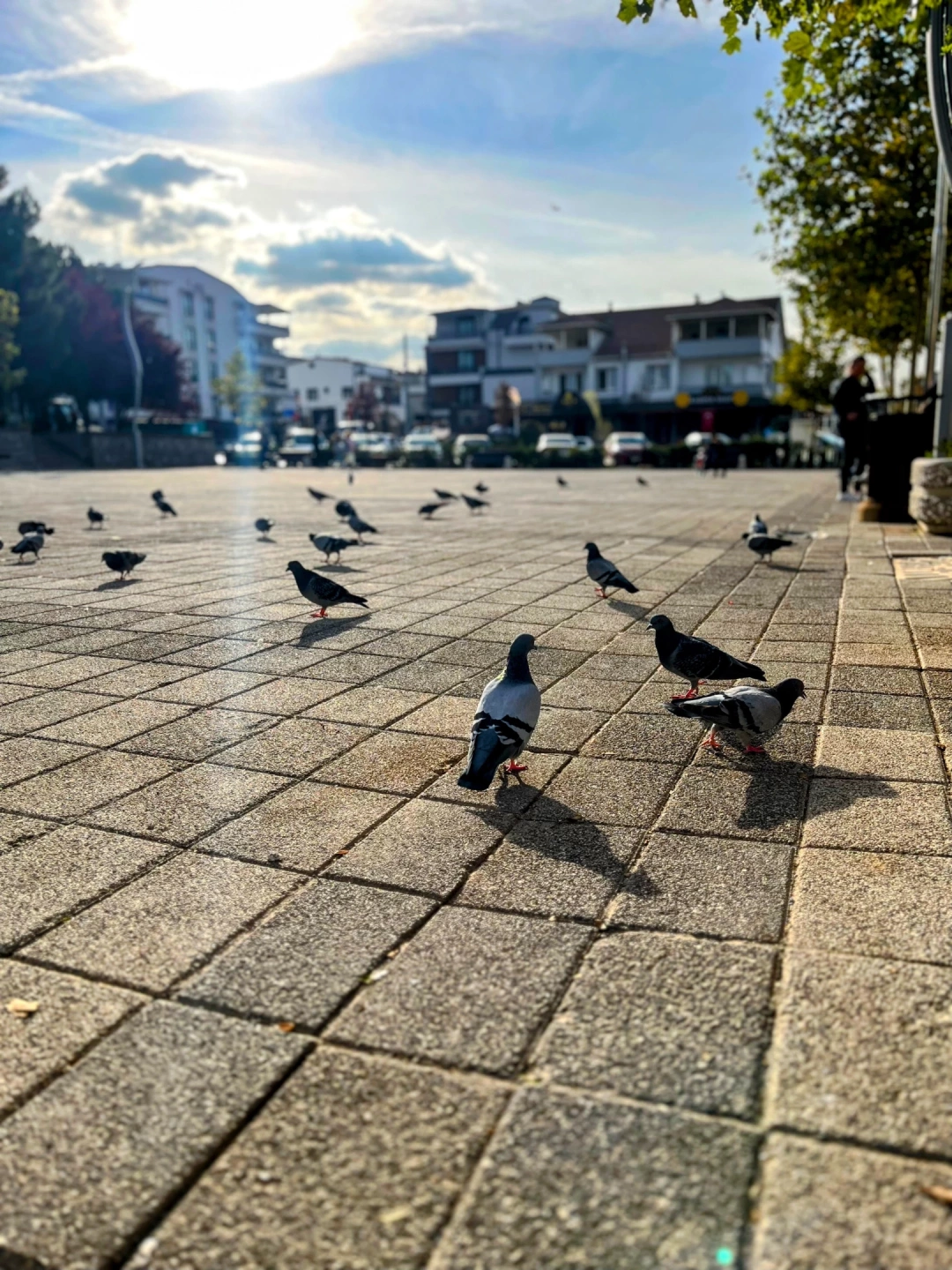 basiskele-meydan / 6912