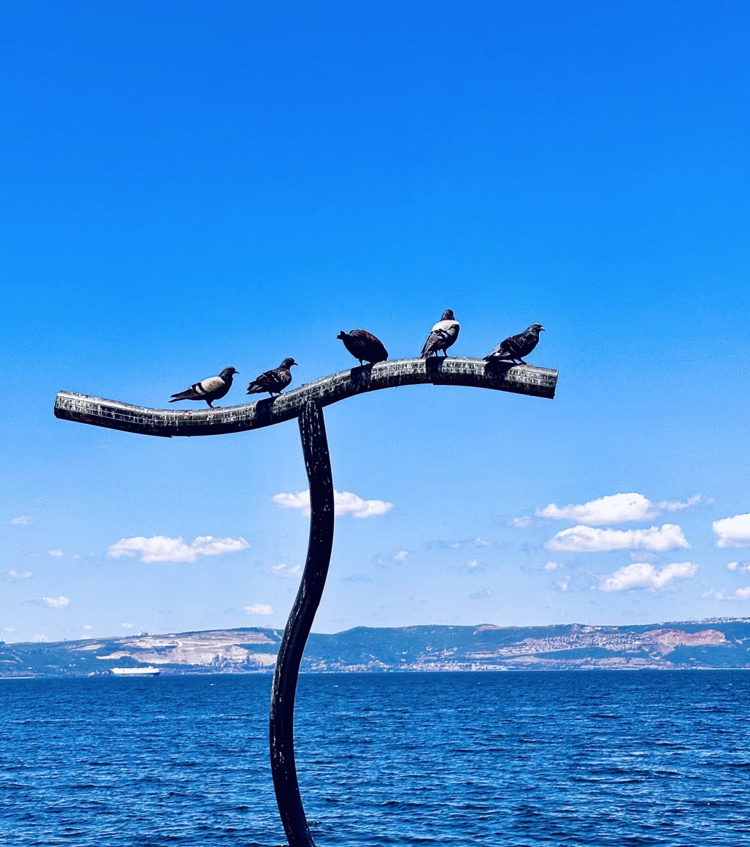 karamursel-sahili-kocaeli-karamursel-karamursel-karamurselsahili-guvercin-kus-kus-deniz-manzara-bulut / 3056